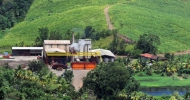 la-mauny-distillery-and-plantation-3
