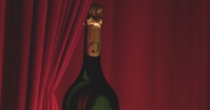 media_file_499