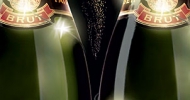 media_file_611